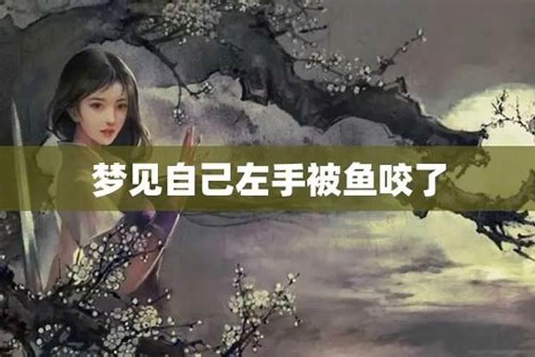 梦见被鱼咬了是什么征兆