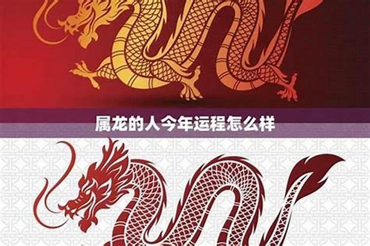 2024年属龙有添丁之喜吗 属龙2024年生孩子好吗
