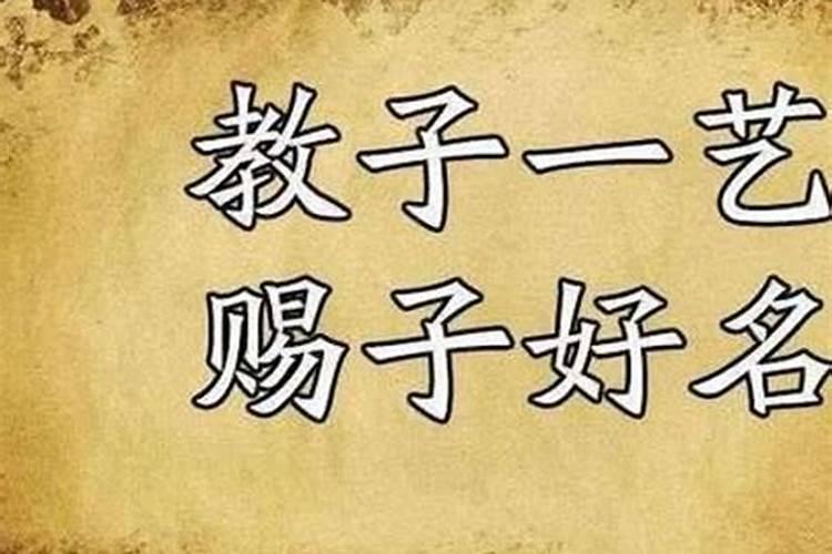 算命中说的从弱格是什么意思？