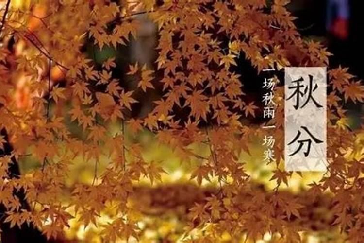 处女座女生不主动找你聊天,白羊女从不主动联系我
