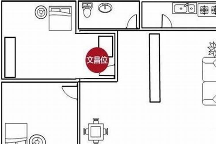 男兔女兔千万别在一起
