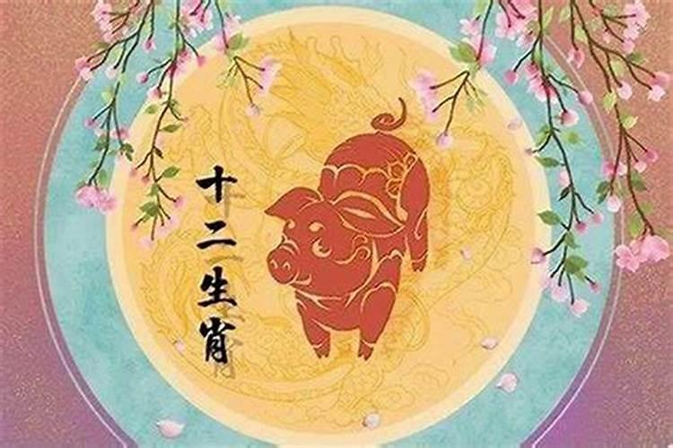 71年属猪人2025年躲不过的大难
