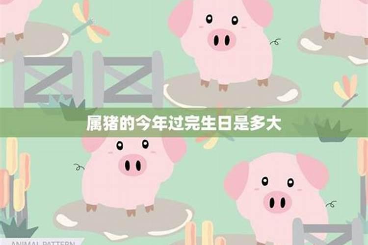 71年属猪的今年的运势怎样 健康多加注意？