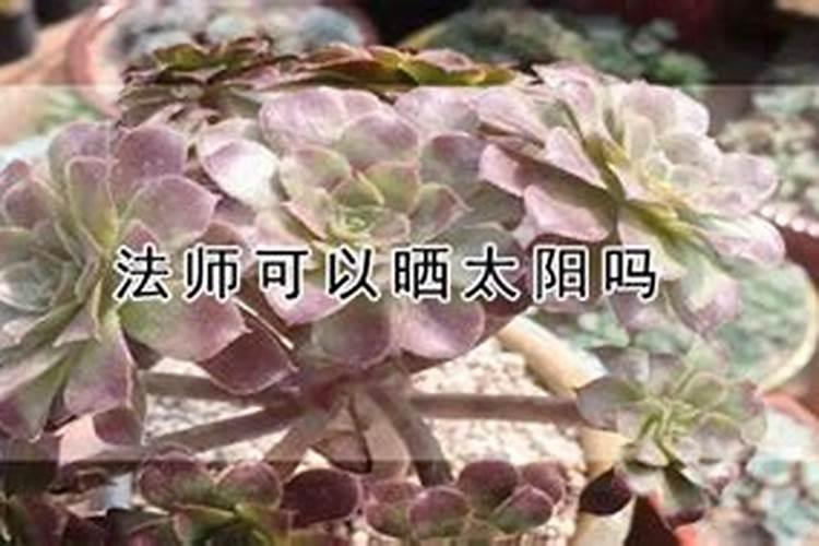 如何回向给被堕胎的胎儿