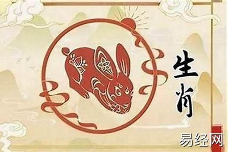丑时出生的属兔人命运如何