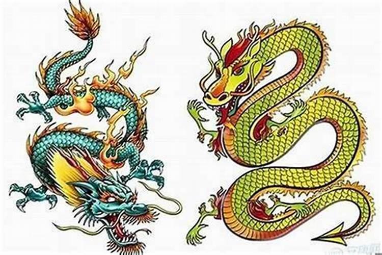 生肖属龙四季性格