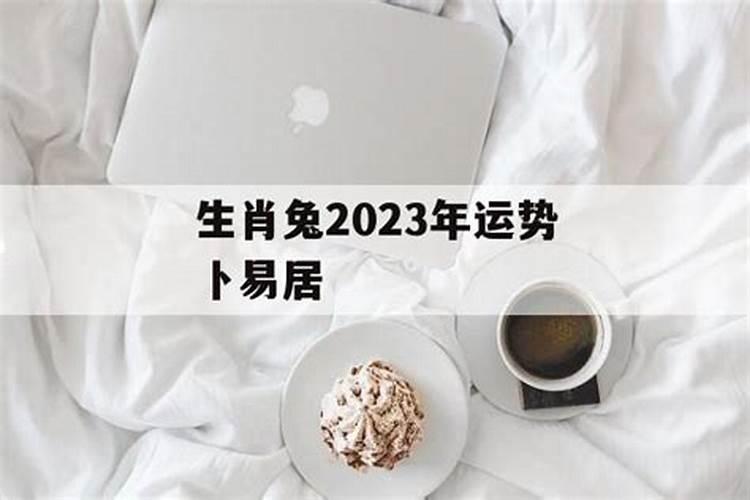 梦到狗丢了到处找狗