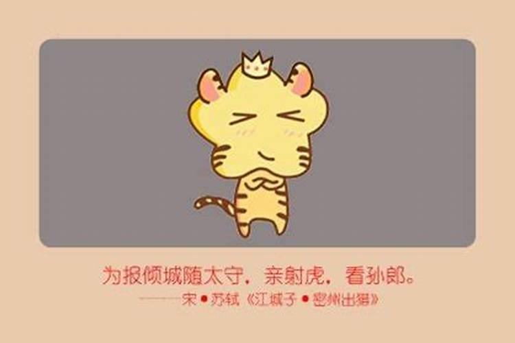 生肖虎女最怕出生几月生肖虎的人,运程全攻略