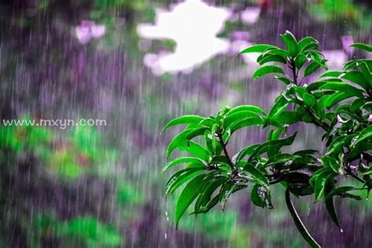 怀孕梦见下大雨什么意思怀孕梦见下大雨预示什么