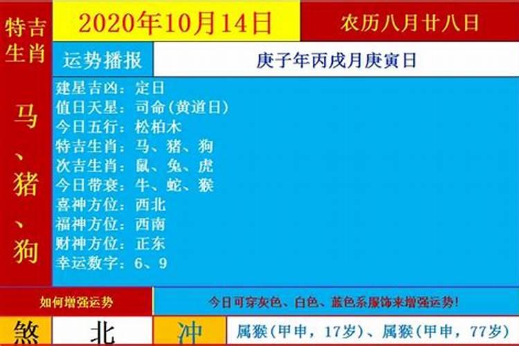 有了“生辰八字”可以看每日运势吗？