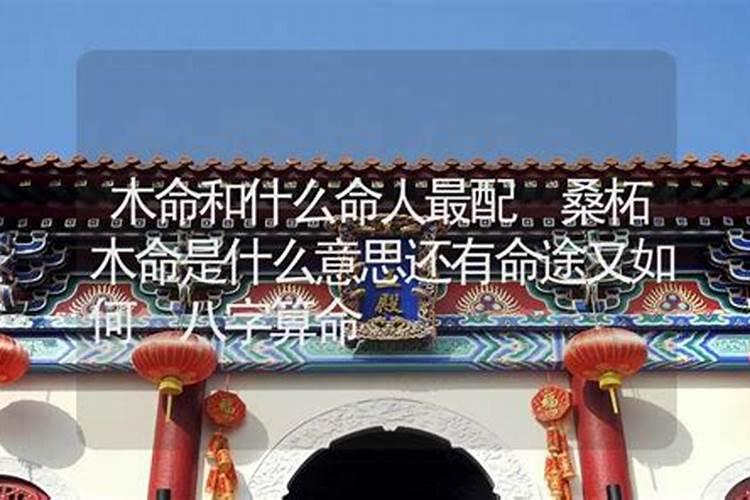 哪位大师给看一下我是不是童子命,是什么童子？1981年阳历10月15日阴历9...