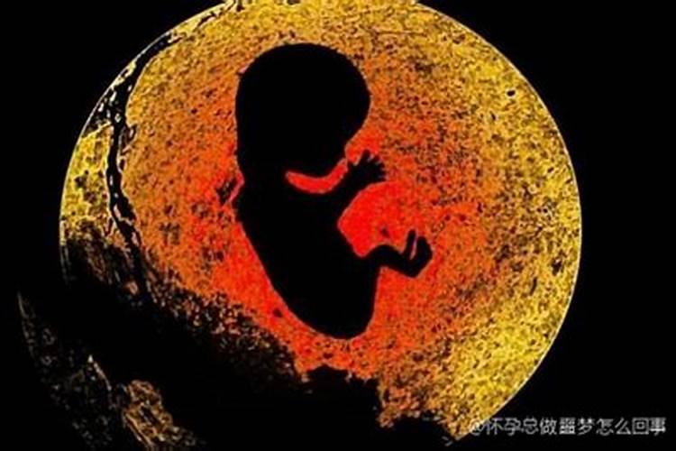 《易经》中“大人虎变小人革面君子豹变”该如何理解？
