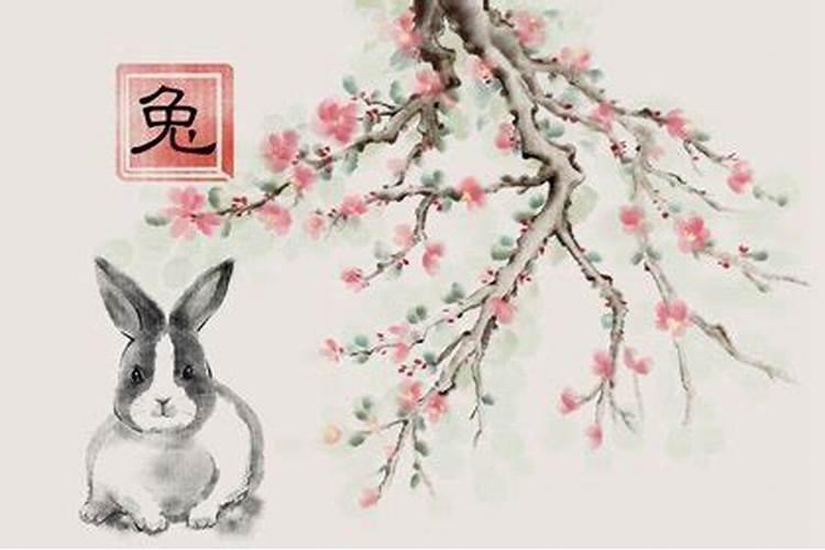 属兔最吉三个时辰