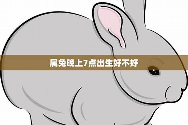 属兔上等命的出生时辰,属兔几点出生更好女孩