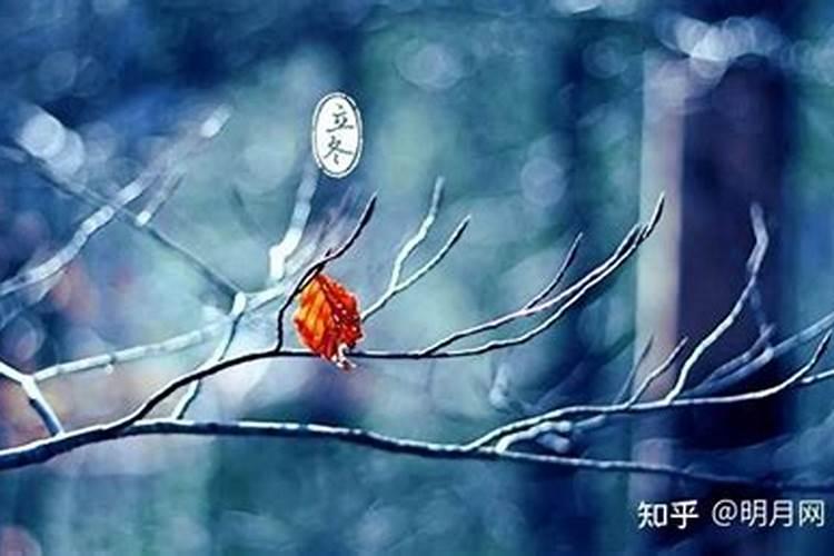 立冬风俗上吃什么