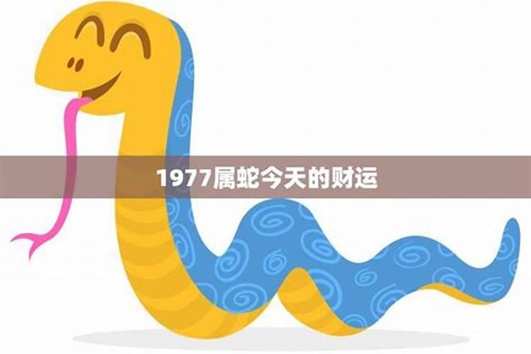 女1976年五月初一2025年财运好不好