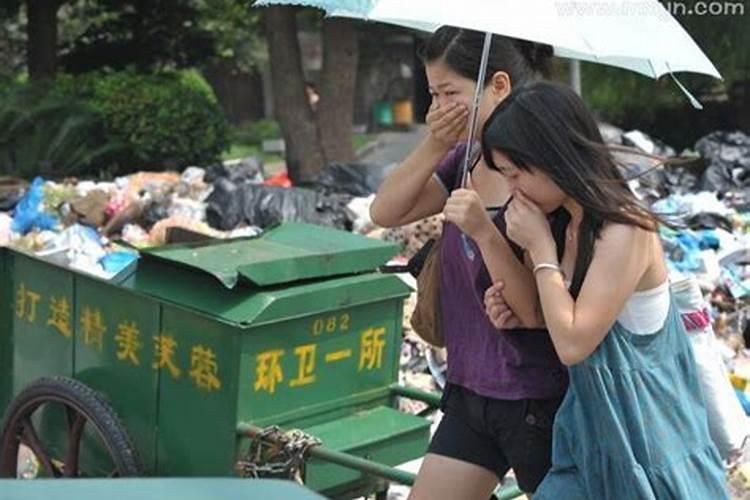 女人梦见茅坑好多屎无处下脚