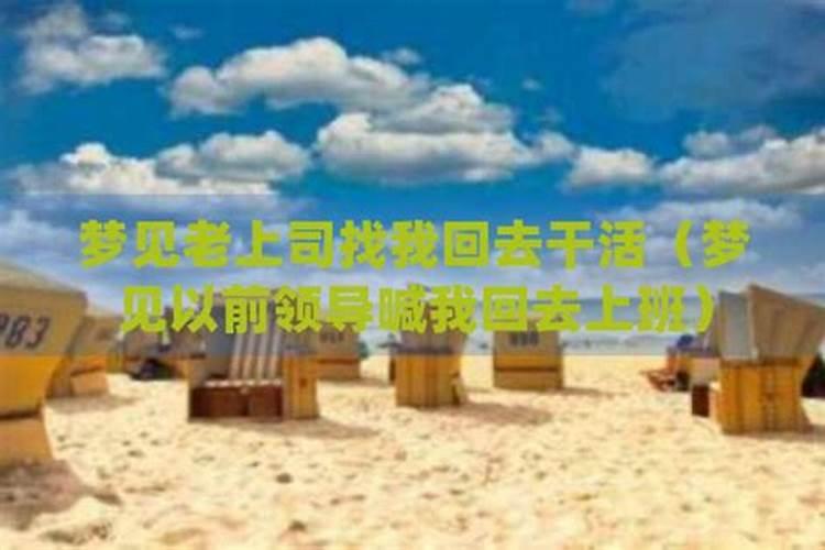 梦见老板请到家做客的预兆
