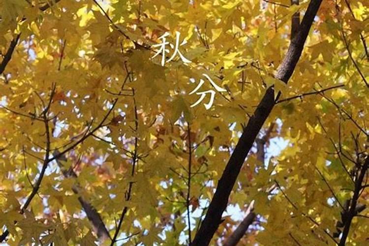 秋分要注意什么？秋分要防什么？