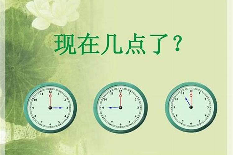 3月15号的生日花和幸运花是什么？