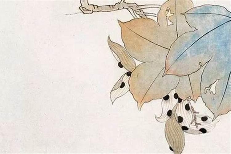 90年属马月份的五行属什么