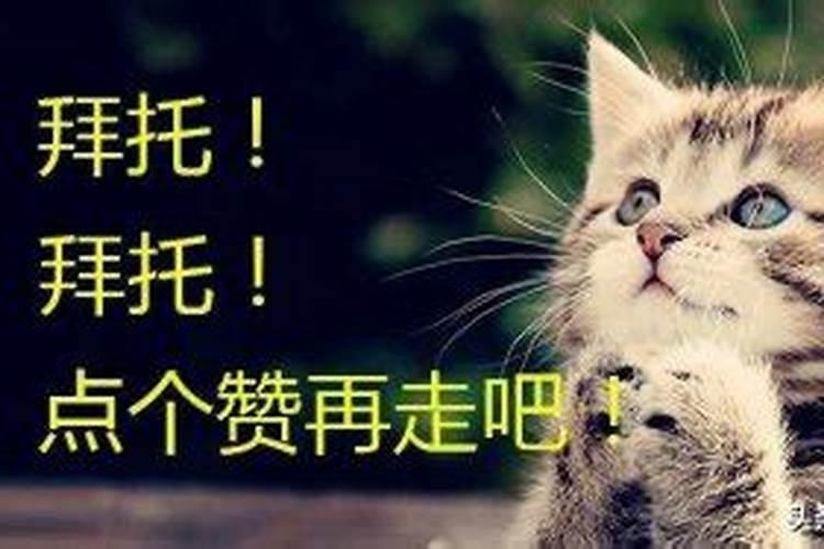 梦见起坟是怎么回事 梦见起坟是什么预兆