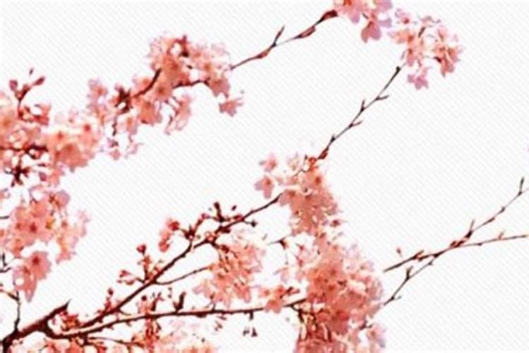 桃花星入夫妻宫 女命婚姻宫旺配偶事业运旺盛？