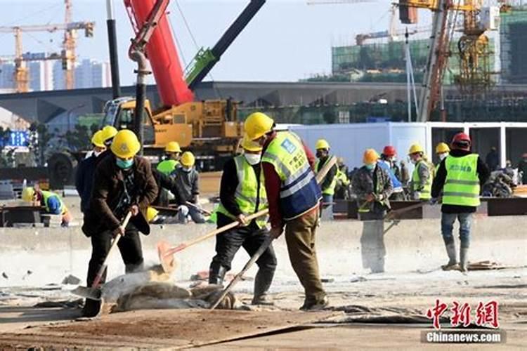 属猪五行属什么命属猪人的五行缺什么