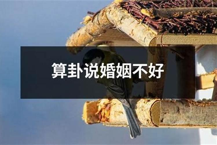 77年蛇45岁后十年大运运程2024 1977属蛇四十六岁后十年大运