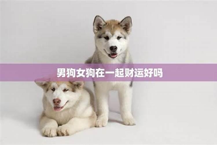 风水在们国家已经有几千年的历史了,哪位能说说别墅怎样看风水？