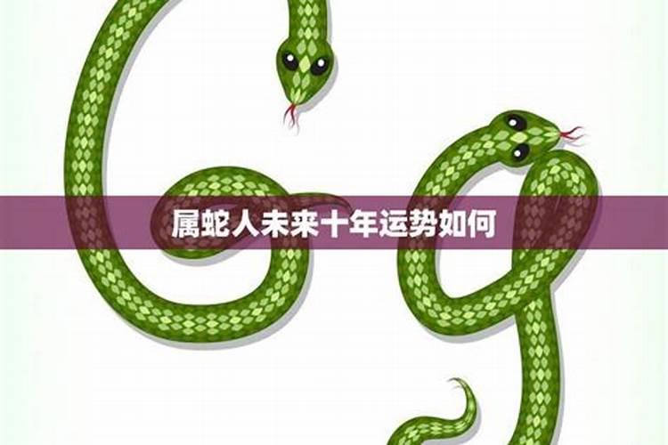 1977年生肖蛇未来10年运势