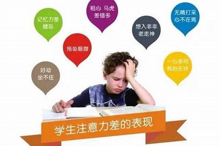 专注力“不好”的孩子,父母怎么布局？