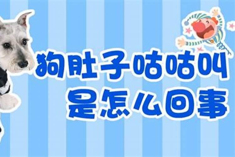 2024年本命年从什么时候到什么时候 本命年运气真的不好吗