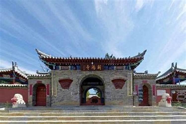 中元节狗为什么叫的那么吓人