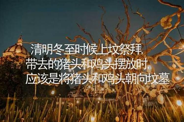 2025蛇是火命还是木命 2025年属蛇人一生的命运
