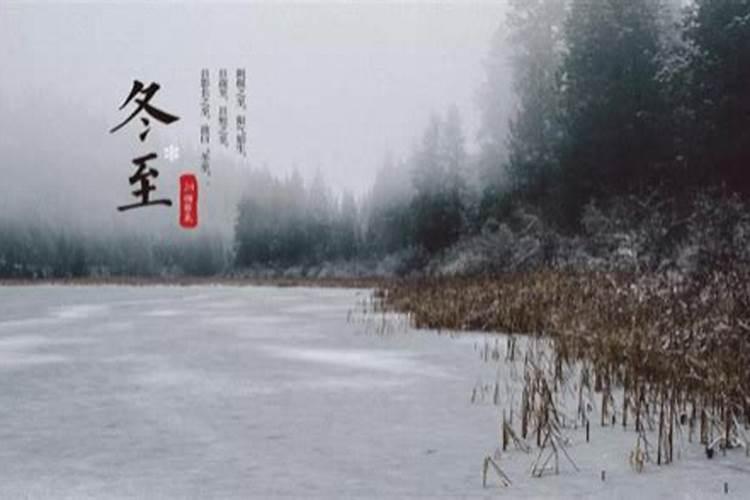 做梦梦到同事死了是什么征兆