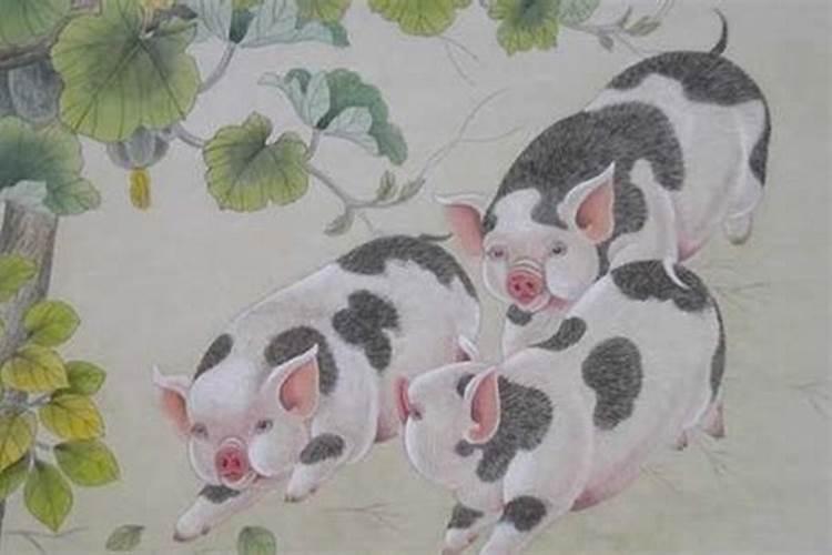 属猪的和什么属相最配属猪的最佳配偶