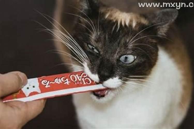 梦见杀死猫是什么意思