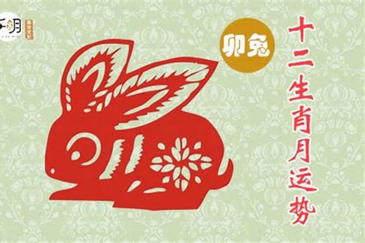 梦见别人车子掉进水里