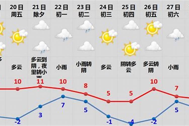 属兔2025年运势
