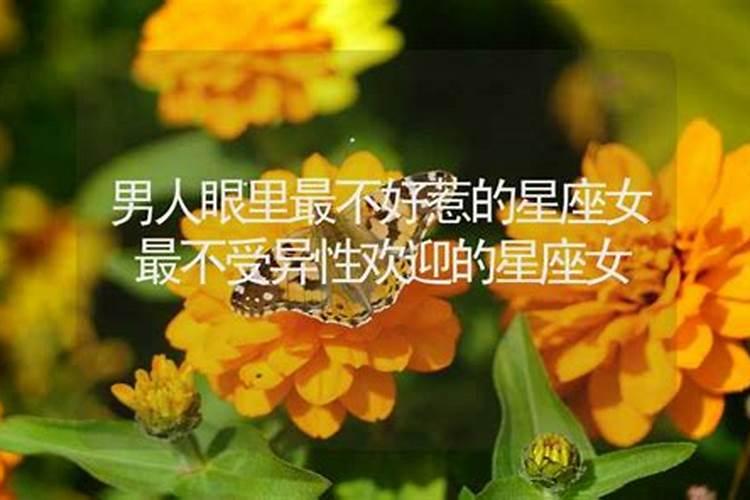 农历8月出生属狗人命好吗