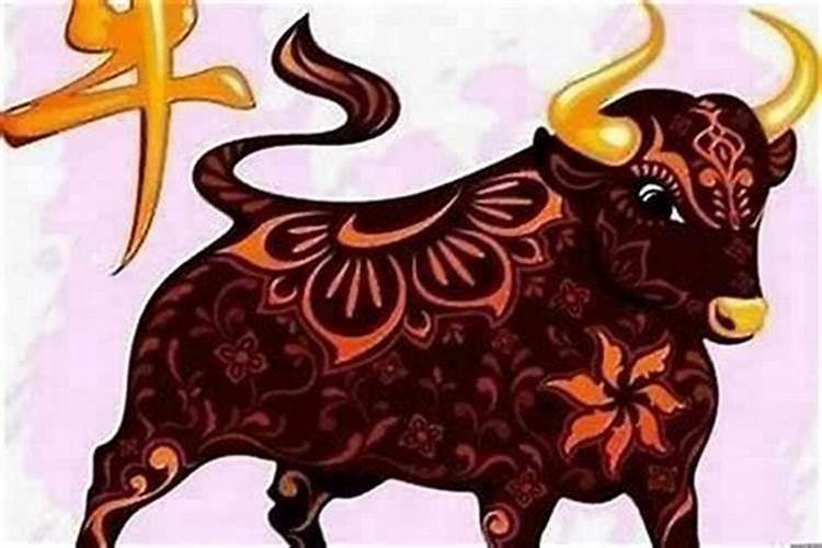 本命年要注意什么属牛