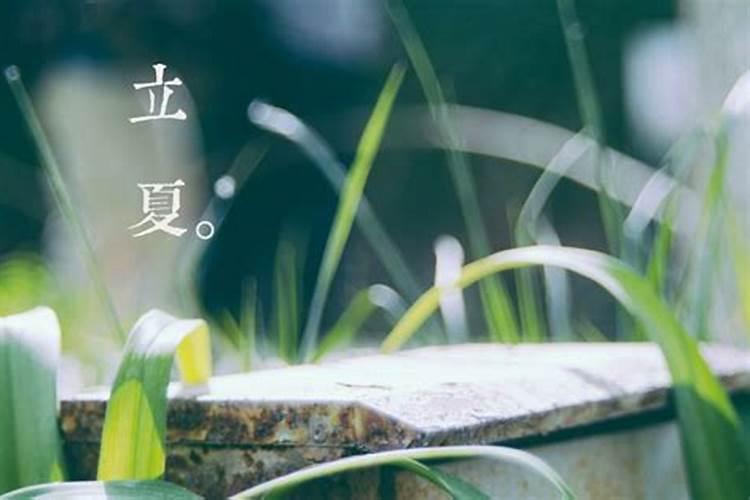 梦见有蛇咬着我的脚不放的预兆