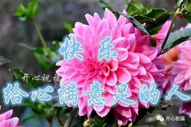 属猴男的和属兔女的结婚合适好不好 属兔的和属猴的婚姻相配吗