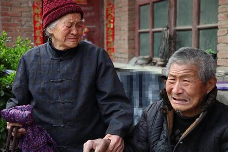 梦见狗咬着我的脚不放的预兆