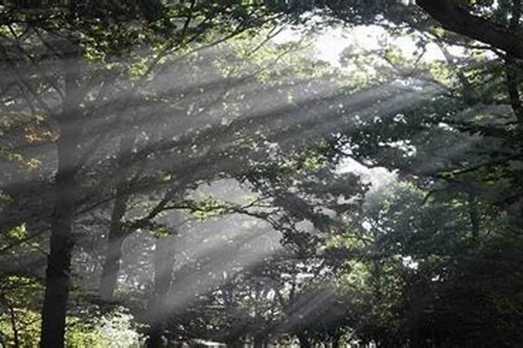 九星合婚表,九星合婚绝命什么意思？
