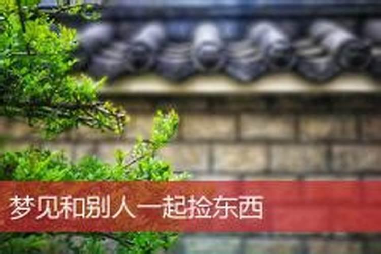 梦见和别人一起捡东西是什么意思