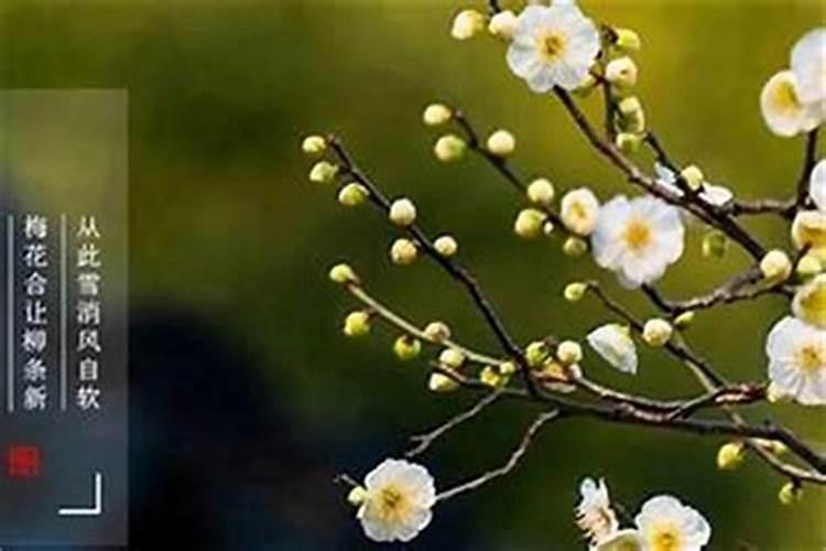 清明节是从什么时候开始的？