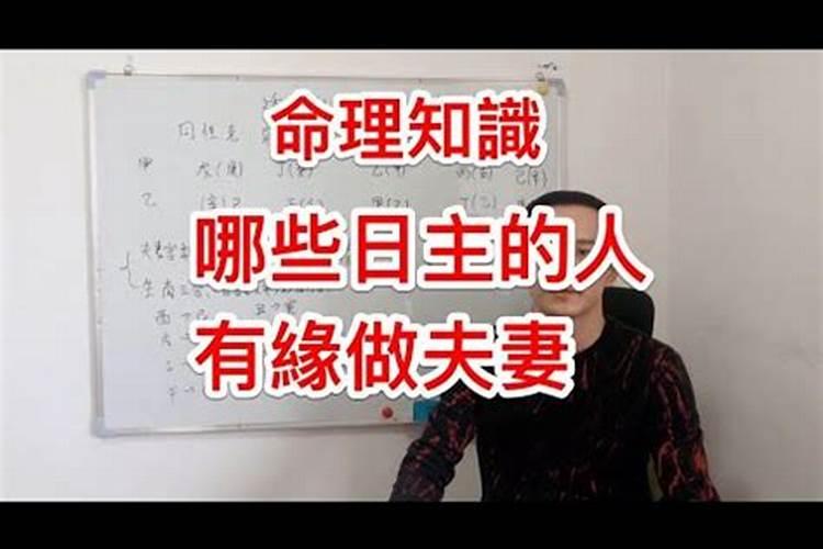 八字合婚日支相合 谁是最适合自己的姻缘？