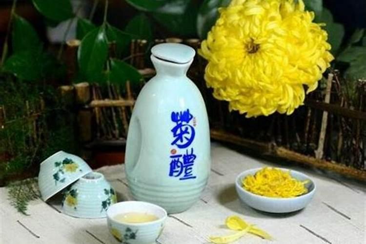 属猴和什么属相不合